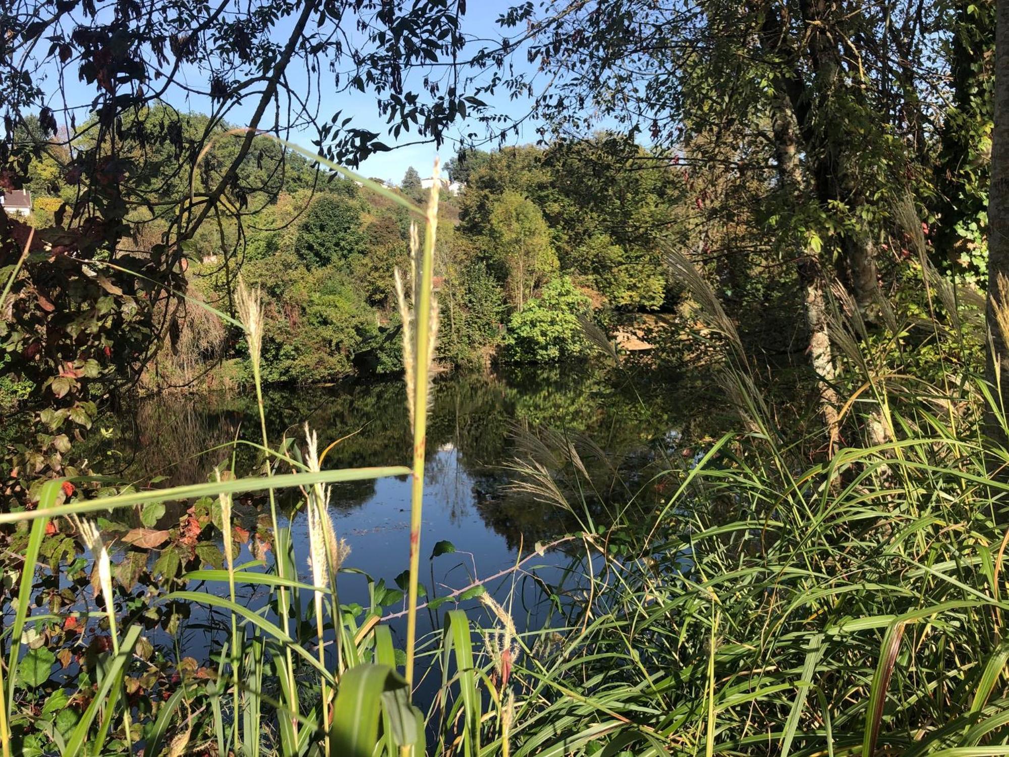 Demeure De Charme Vue Riviere Perigueux Piscine Parking Bed and Breakfast Εξωτερικό φωτογραφία